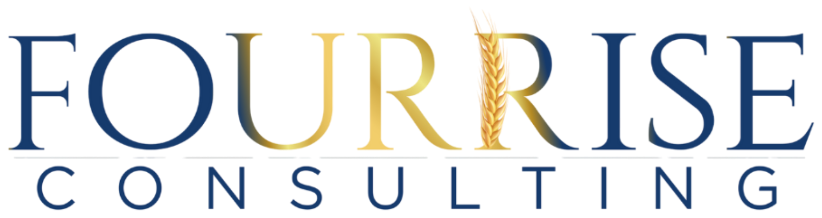 FourRise Consulting